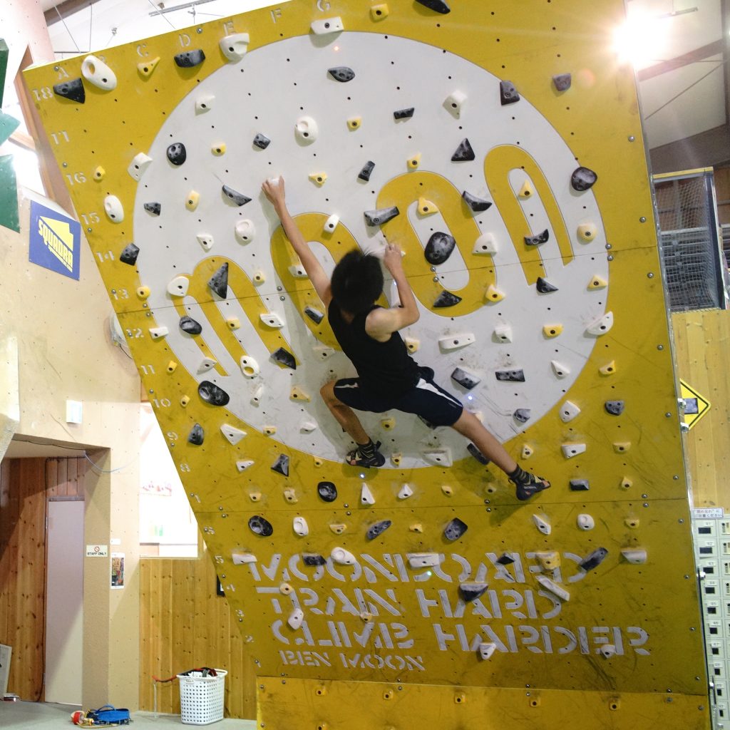 ボルダリング ウォール クライミング ボード ホールド30個付き 室内 